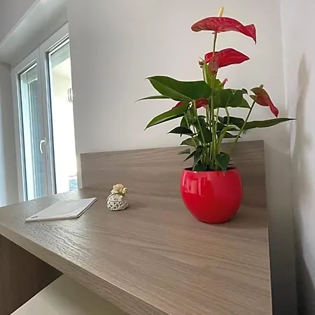 Mini - Enrico Fermi Bed & Breakfast Rende